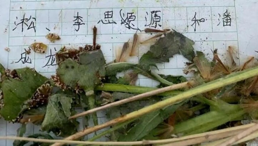 新西兰：中方实弹演习符合国际法,6合开奖网址,决策资料解释落实_HarmonyOSV10.4